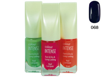 Лак для нігтів Colour Intense NP303 №068 матовий 10мл