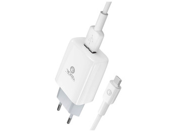 Сетевое зарядное устройство Ridea RW-11211 Element Type-C 2.1 A Цвет Белый