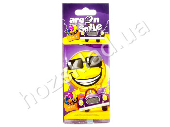Освежитель воздуха AREON Smile сухой листик  Party 62643