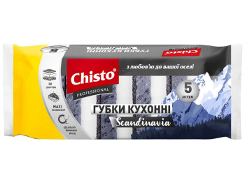 Губки кухонні Chisto Scandinavia, 5шт