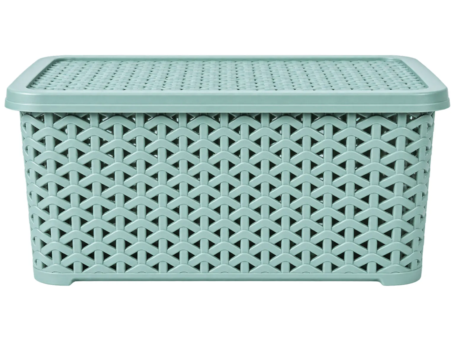 Корзина для хранения Diomedea пластиковая прямоугольная, с крышкой, светло-фисташковая, 10 л