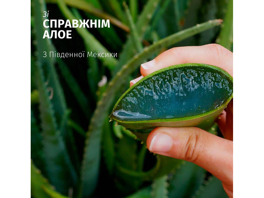 Шампунь Herbal Essences Aloe Moisturise, зволожуючий з алое, 350мл