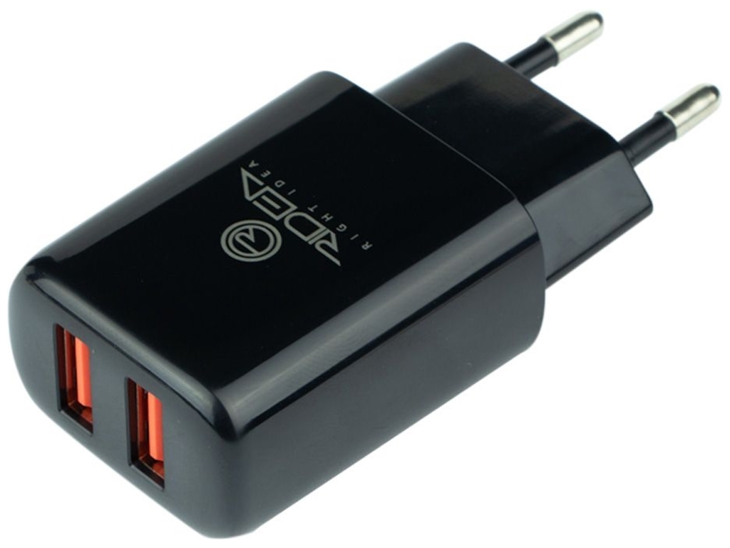 Сетевое зарядное устройство Ridea RW-21011 Element Duo 2USB 2.1 A Цвет Черный